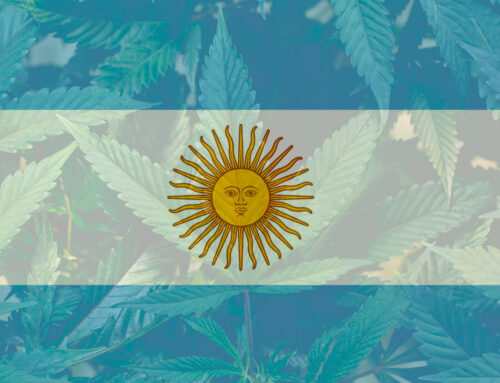 Legalização da diamba na Argentina – O que você precisa saber?