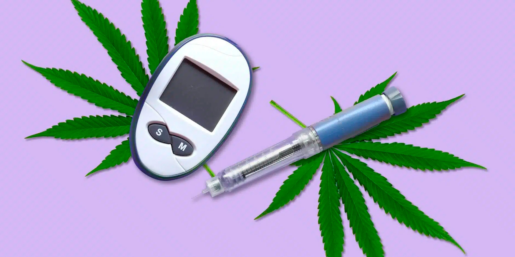 Estudo aponta que usuários de maconha tem menos riscos de desenvolver diabetes